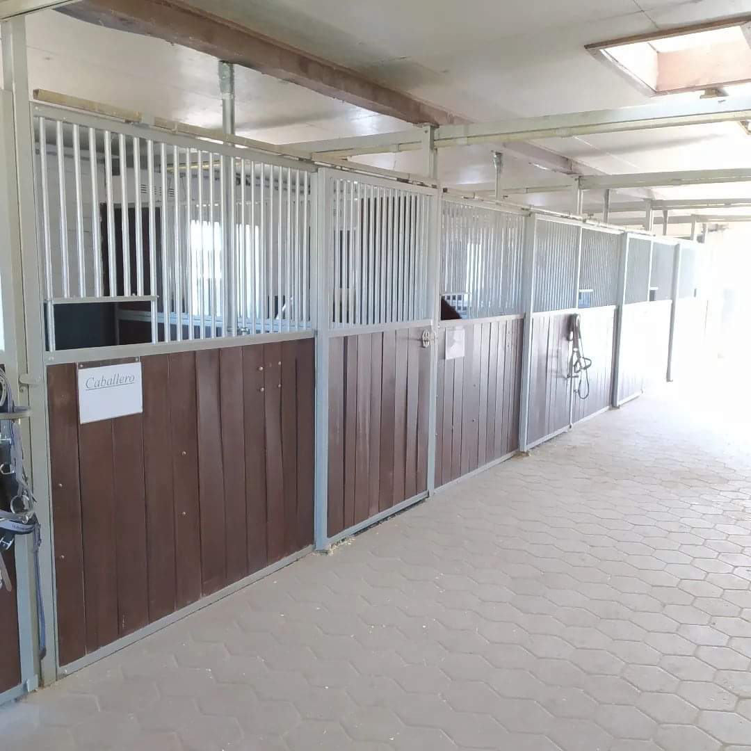 Boxengasse Fensterboxen